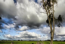 2014世界杯半决赛荷兰vs阿根廷，那场经典对决到底有多精彩？